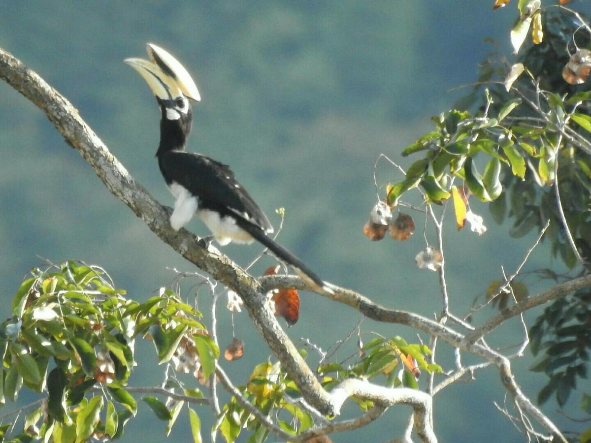 Baanraisooksangchan Kaeng Kachan Ngoại thất bức ảnh
